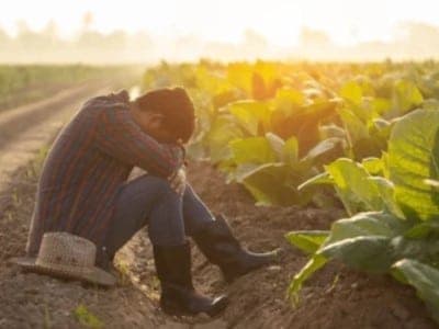 Indennità per agricoltori senza lavoro a Bari