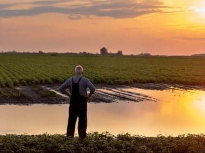 Sussidio Disoccupazione Agricola a Cabiate Sussidio Disoccupazione Agricola a Cabiate